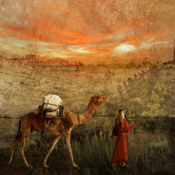 Fine Art Print by Eva Koleva Timothy