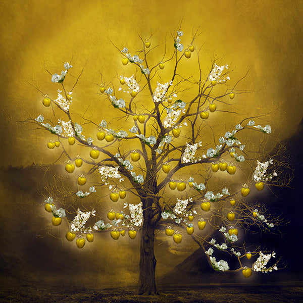 Fine Art Print by Eva Koleva Timothy