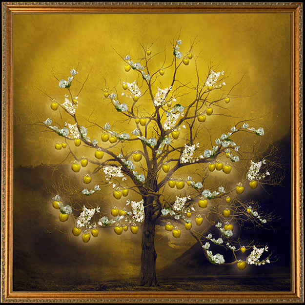 Fine Art Print by Eva Koleva Timothy