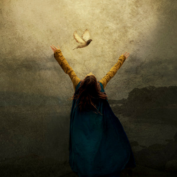 Fine Art Print by Eva Koleva Timothy