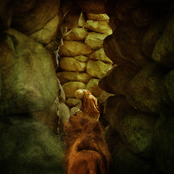 Fine Art Print by Eva Koleva Timothy