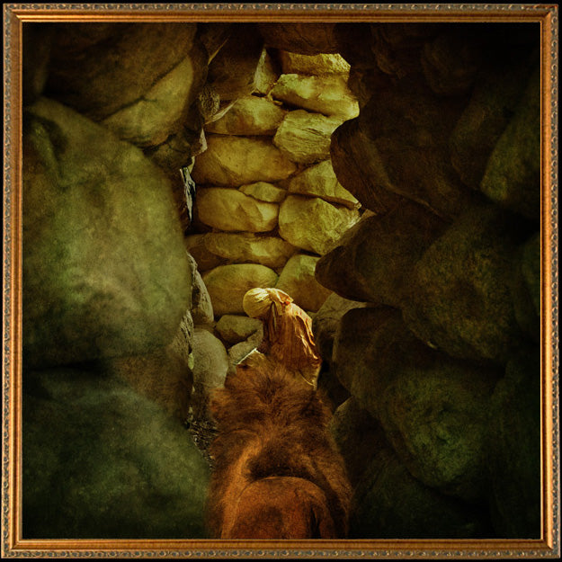 Fine Art Print by Eva Koleva Timothy