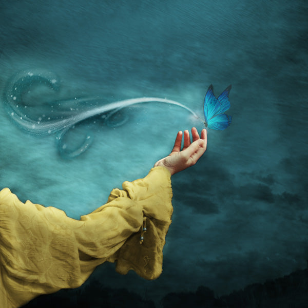 Fine Art Print by Eva Koleva Timothy