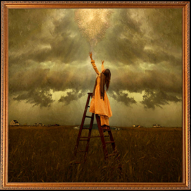 Fine Art Print by Eva Koleva Timothy