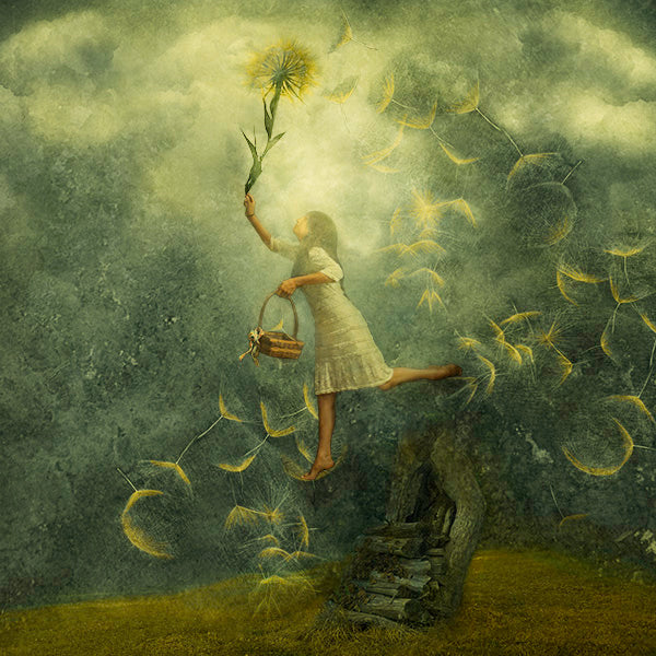 Fine Art Print by Eva Koleva Timothy