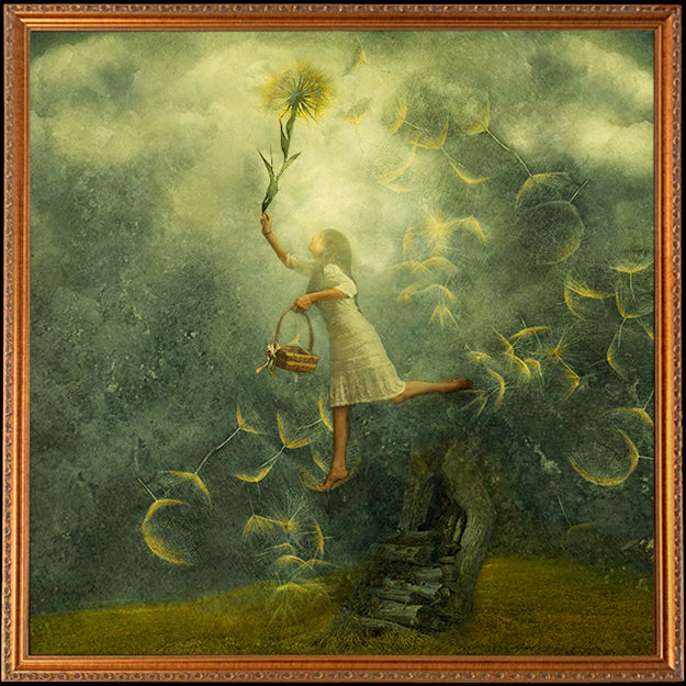 Fine Art Print by Eva Koleva Timothy