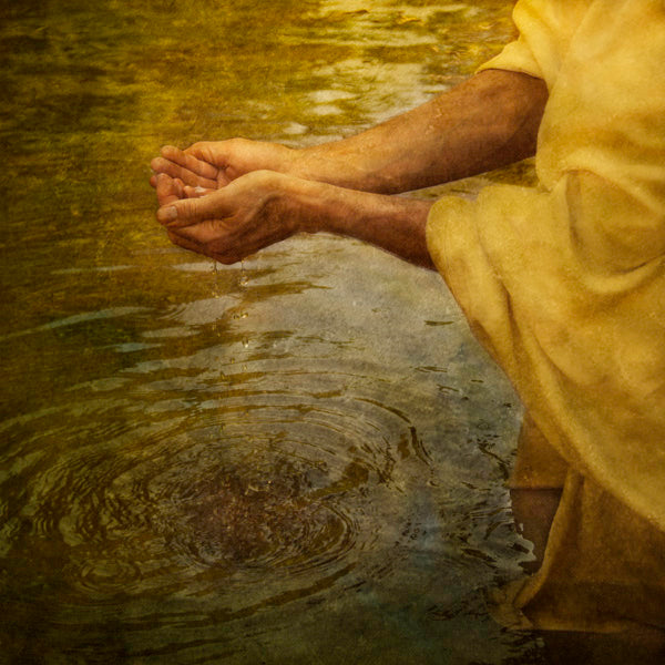 Fine Art Print by Eva Koleva Timothy