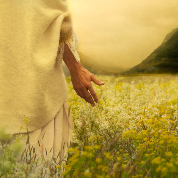 Fine Art Print by Eva Koleva Timothy
