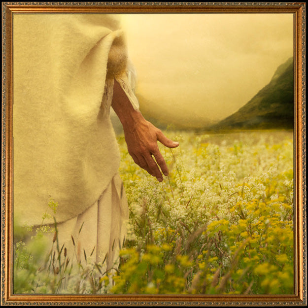 Fine Art Print by Eva Koleva Timothy