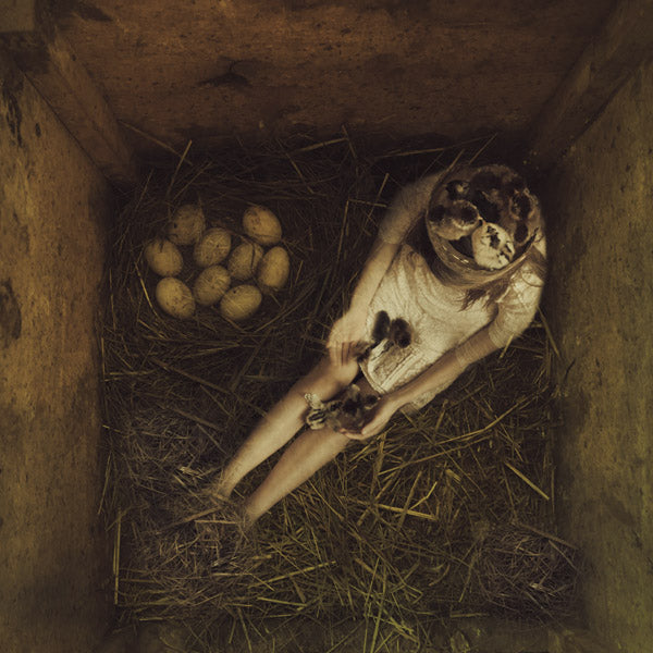 Fine Art Print by Eva Koleva Timothy