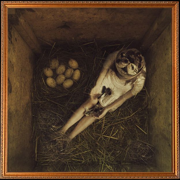 Fine Art Print by Eva Koleva Timothy