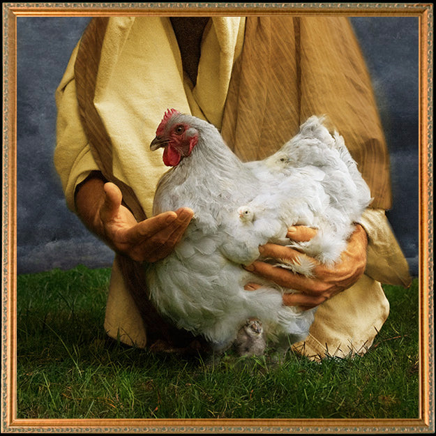 Fine Art Print by Eva Koleva Timothy
