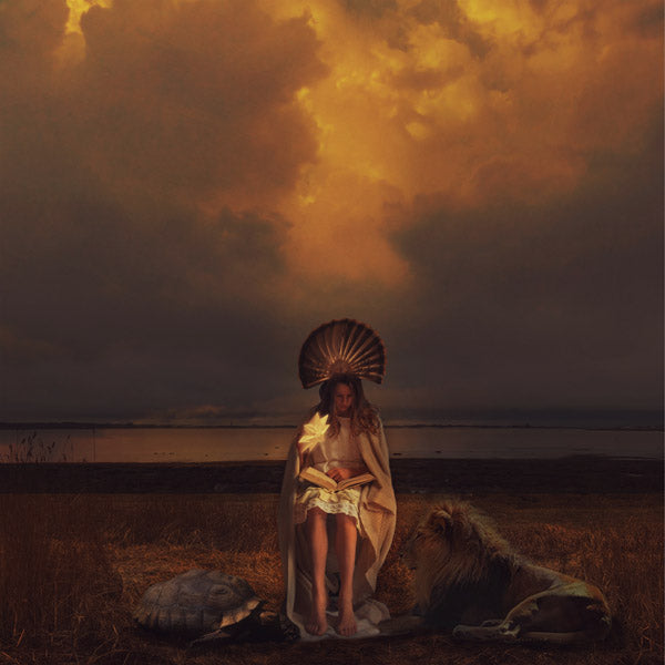 Fine Art Print by Eva Koleva Timothy