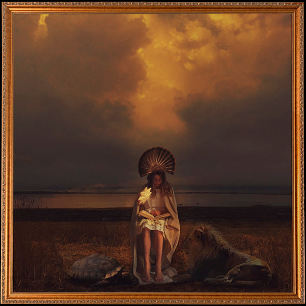 Fine Art Print by Eva Koleva Timothy