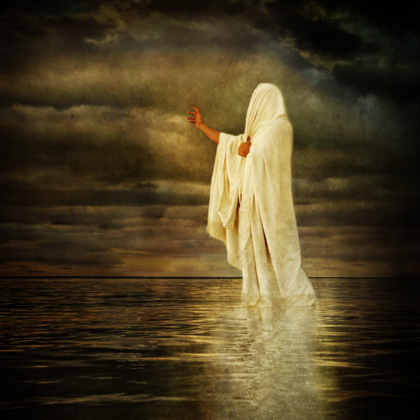Fine Art Print by Eva Koleva Timothy