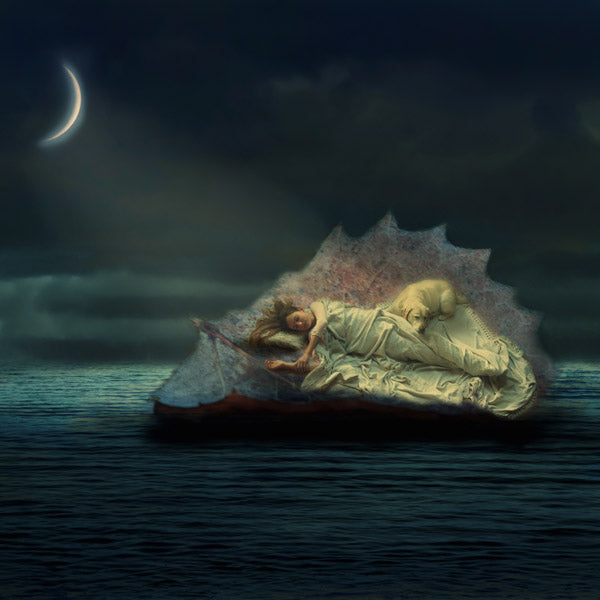 Fine Art Print by Eva Koleva Timothy
