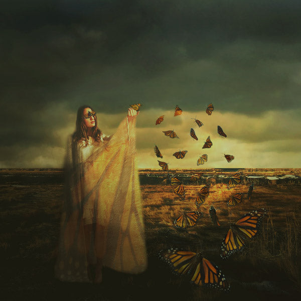 Fine Art Print by Eva Koleva Timothy