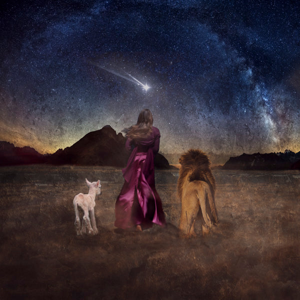 Fine Art Print by Eva Koleva Timothy