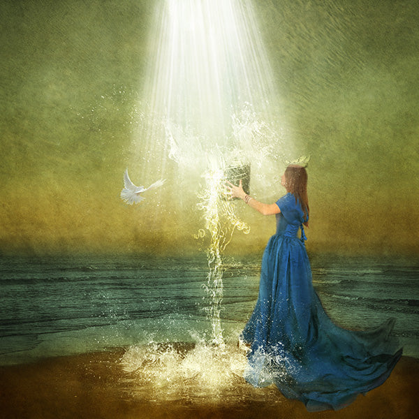 Fine Art Print by Eva Koleva Timothy