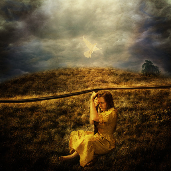 Fine Art Print by Eva Koleva Timothy