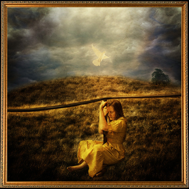Fine Art Print by Eva Koleva Timothy