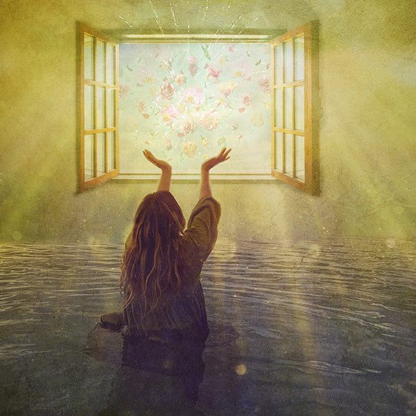 Windows of Heaven