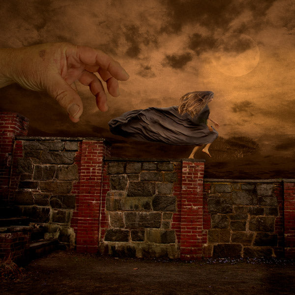 Fine Art Print by Eva Koleva Timothy