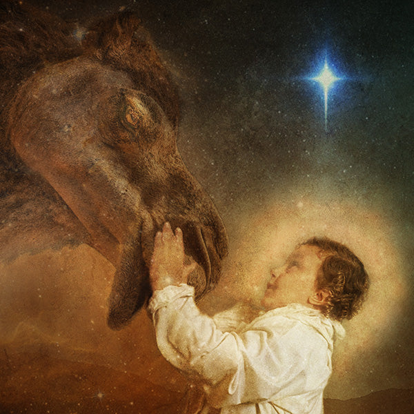 Fine Art Print by Eva Koleva Timothy