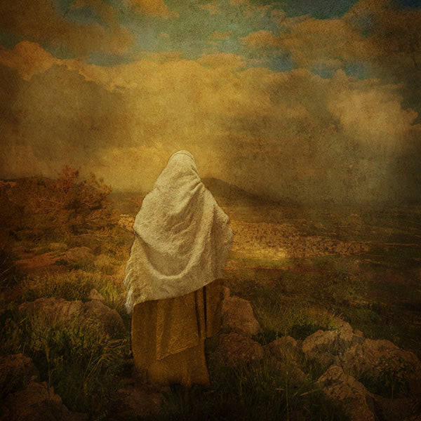 Fine Art Print by Eva Koleva Timothy