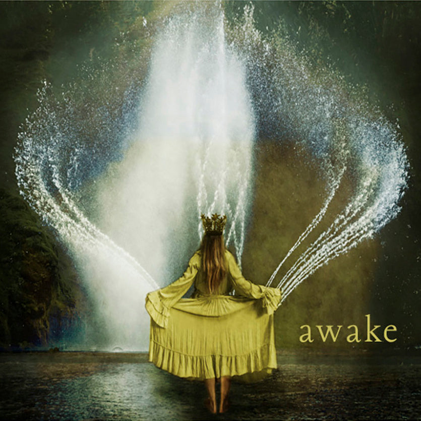 Awake Book