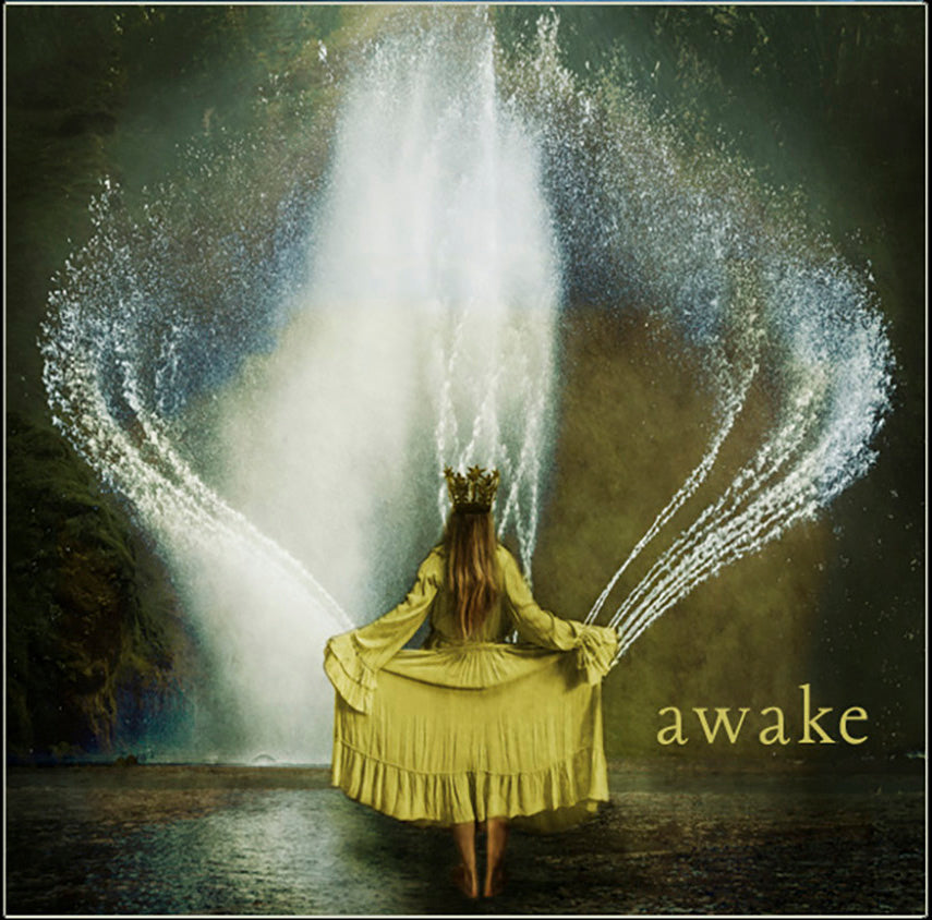 Awake Book